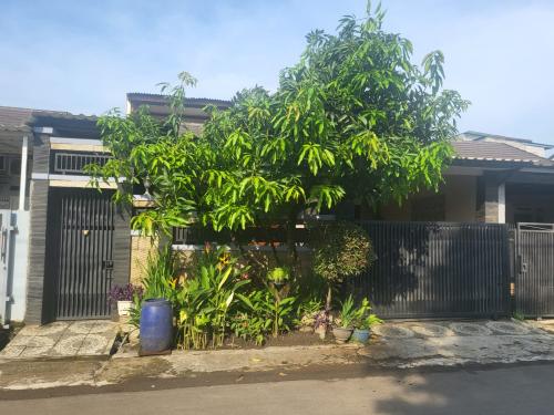 rumahbaru.co Assets