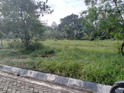 rumahbaru.co Assets